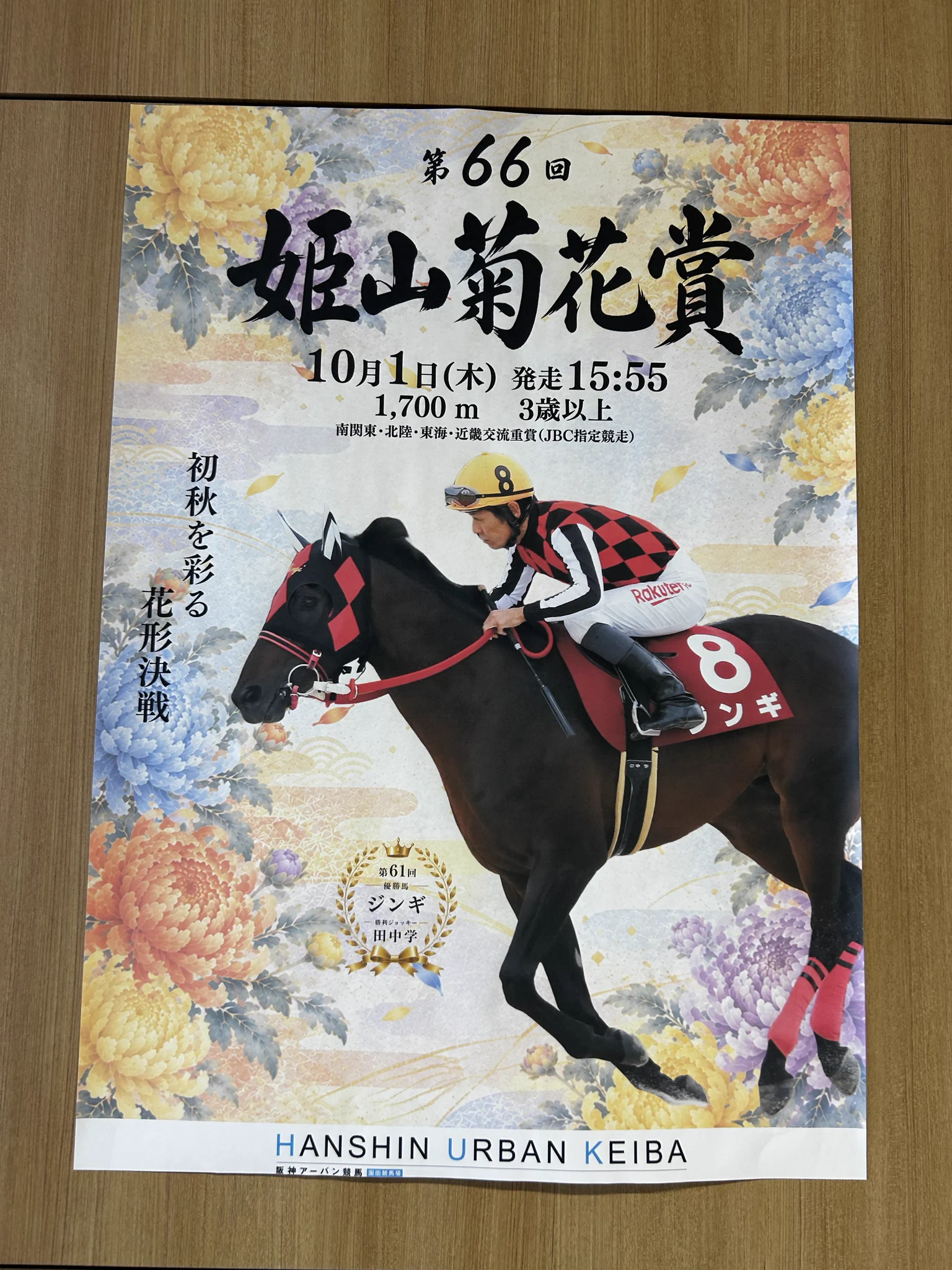 にぼしの出がらし в X: „こんにちカレー🍛 姫山菊花賞のポスターに