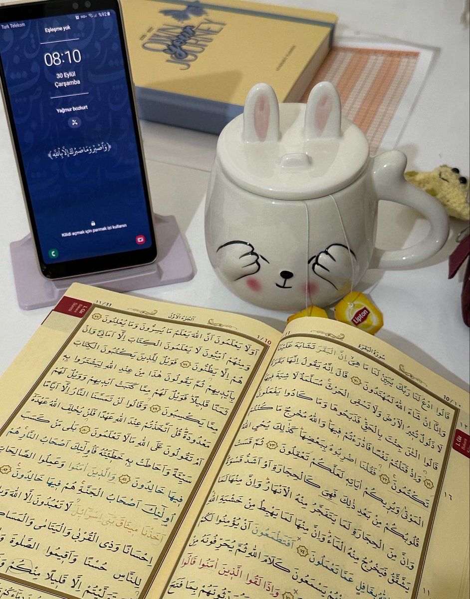 tadibu0's tweet photo. ᥫ᭡️ https://t.co/4zQoGlCwB6