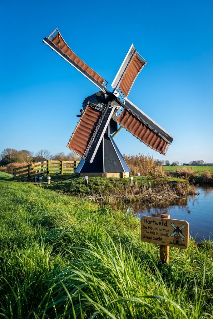 fieggentrio's tweet photo. Hartwerd https://t.co/X9nXENx6me

Hartwerd (Fries: #Hartwert) is een klein terpdorp in de gemeente #SúdwestFryslân, provincie #Friesland, ten oosten van Bolsward.
 
Ontstaan op een terp. 
In de middeleeuwen (tot 1322) vonden hier de landdagen van Westergo plaats.   
Vroeger lag hier het invloedrijke cisterciënzerklooster Bloemkamp (Oldeclooster), dat in de 16e eeuw een roerige geschiedenis kende (waaronder een belegering door anabaptisten in 1535).   
Nadat de middeleeuwse kerk en toren in de 18e en 19e eeuw werden afgebroken, werd een unieke, omtimmerde klokkenstoel (een zogenaamd klokhuis) gebouwd.   

Vlak bij het dorp staat de #Oegekloostermolen, een rijksmonumentale spinnenkopmolen uit de 19e eeuw.   
Het dorp beschikt over een dorpshuis (#ItTerphûs) en een actieve kaats- en toneelvereniging.   

5 wallpapers

#Hartwerd #Dorp #stad #Nederland #village #PaysBas #Dorf #Niederlande #pueblo #PaísesBajos #village #Netherlands