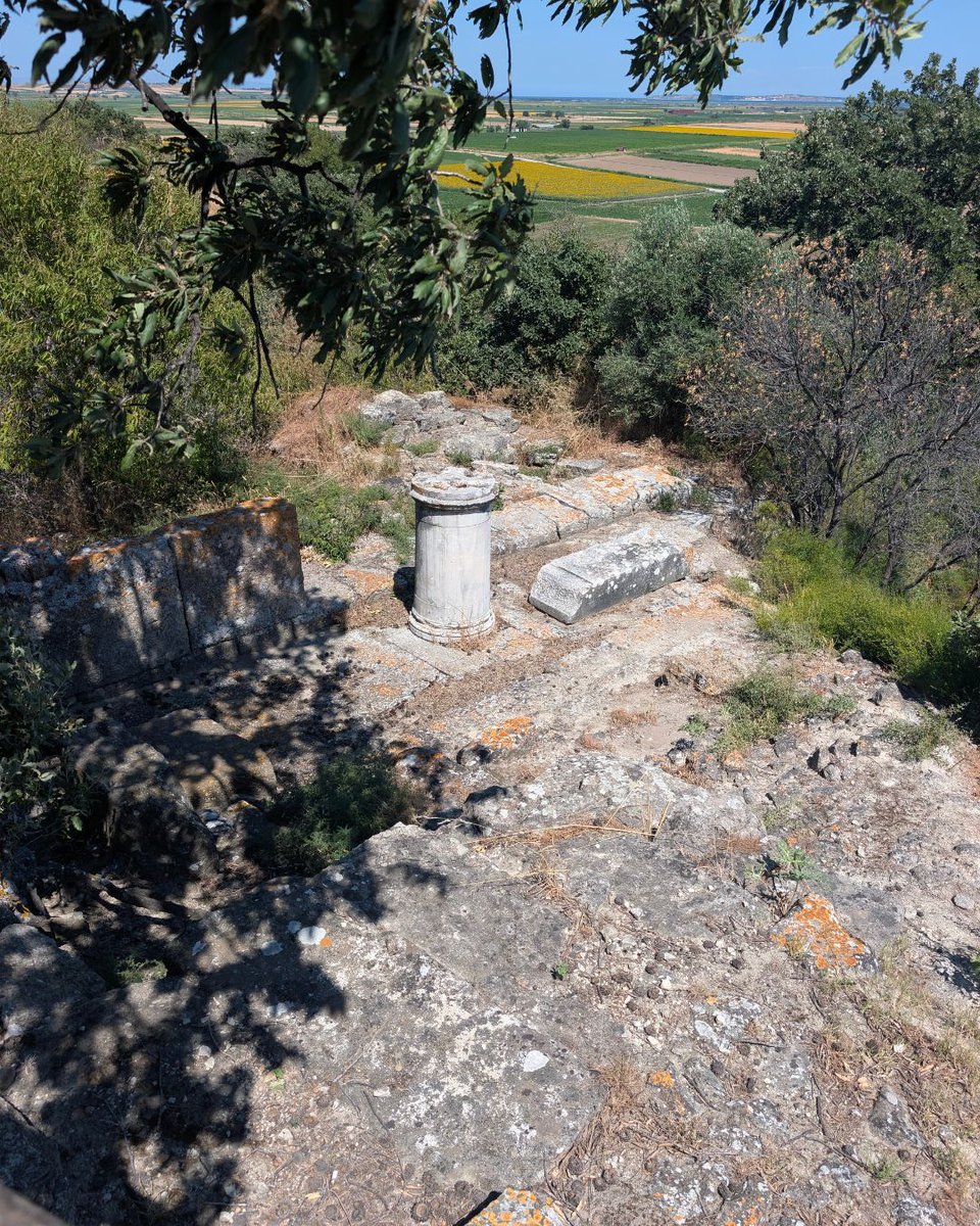 camilodeflow's tweet photo. Photo by J Sanchez on September 05, 2026. May be an image of a gravestone and text. https://t.co/WUx8DppsZU