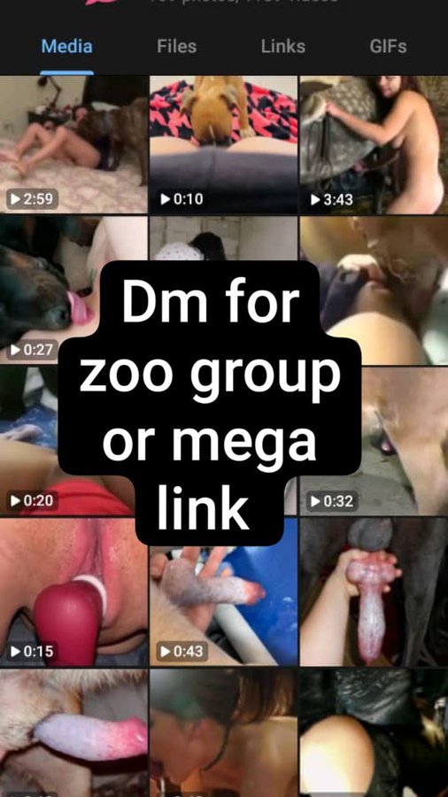 Ashley1516482's tweet photo. Click on the link below to get freaky with me 👅💦 
https://t.co/72Y8wfMIpR
https://t.co/72Y8wfMIpR

#ZOO #CP #USA #K9 #dogcompanion https://t.co/FN6PVwjVwK