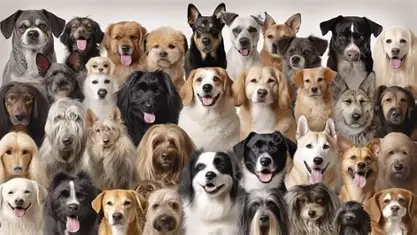 BeardmorePhilip's tweet photo. @JBMAGA03 Not just Maga, all dog lovers! https://t.co/sS43m8OGRg