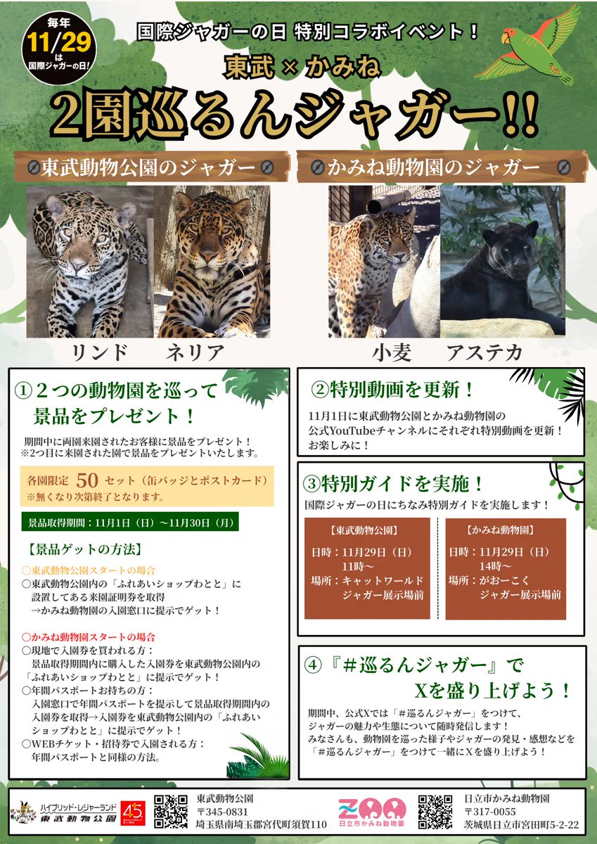 日立 市 かみ ね 動物園