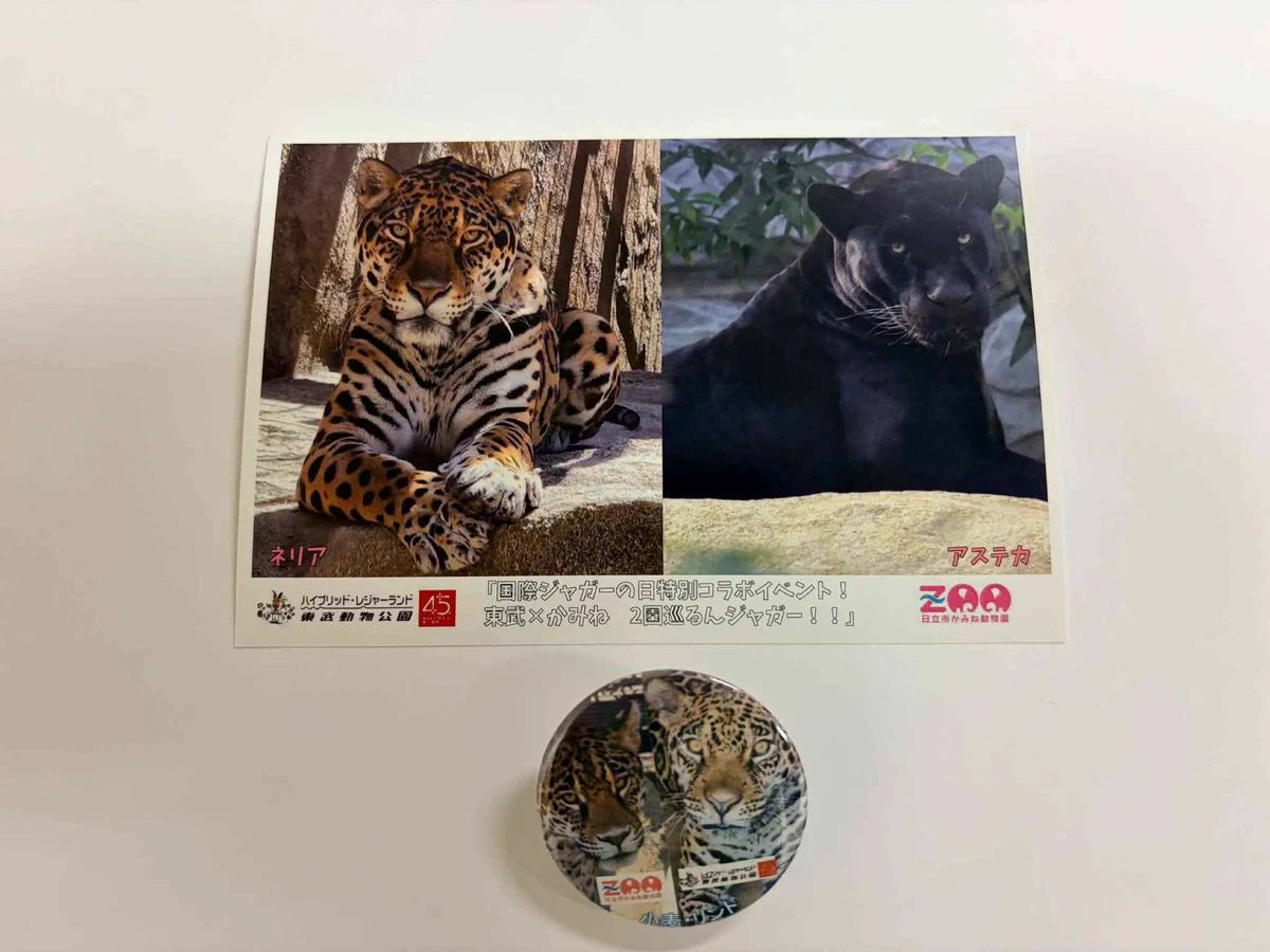 日立市かみね動物園〔公式〕 on X: 