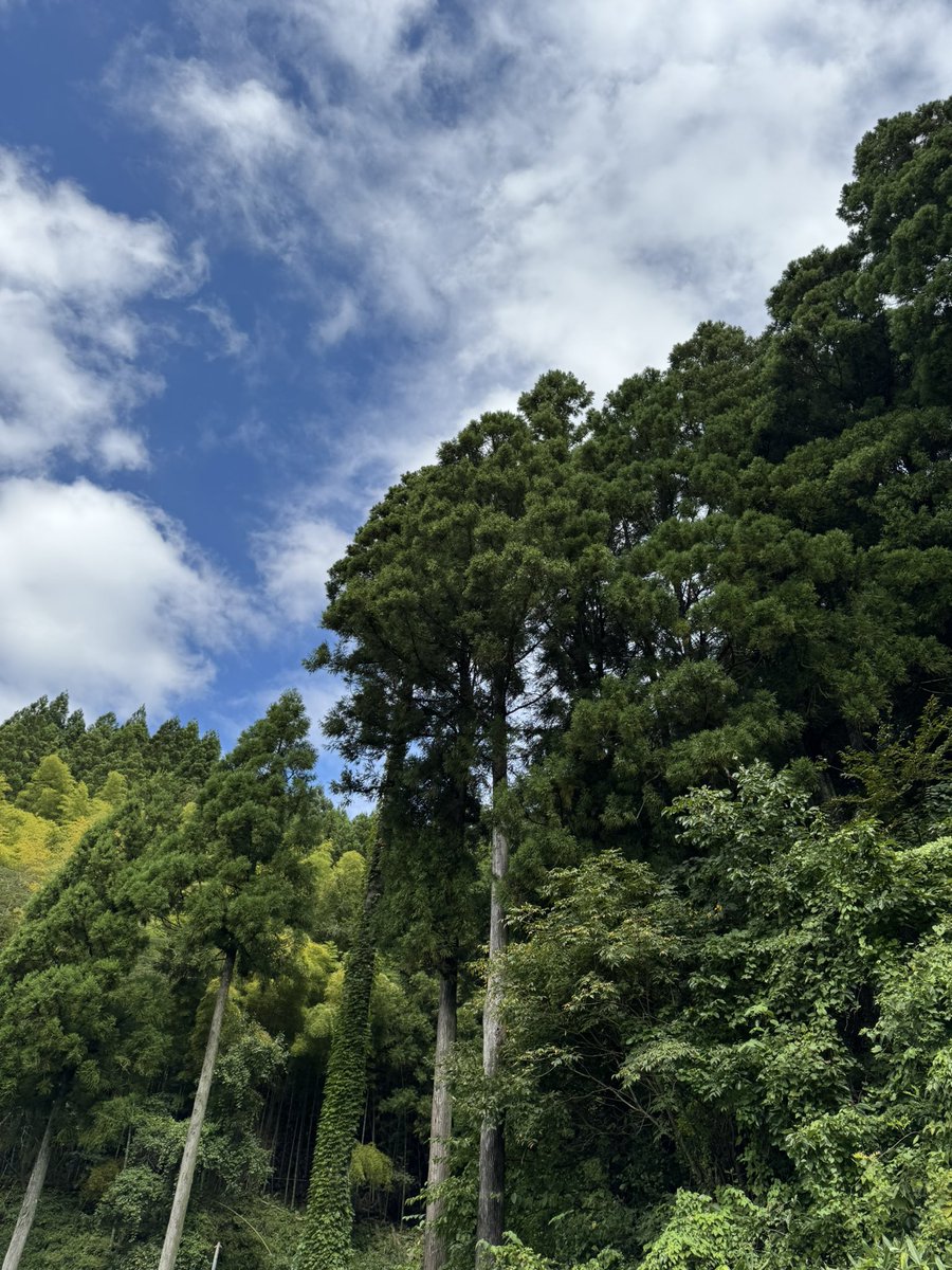 ProfShimada's tweet photo. 福井も久しぶりに晴れ間が見えた。

ブルーリボンバッジは、祖国につながる青い空を見上げつつ助けを待つ拉致被害者を、青い海を越えて救い出すという決意を込めたものです。 https://t.co/TFnmGzJsXG