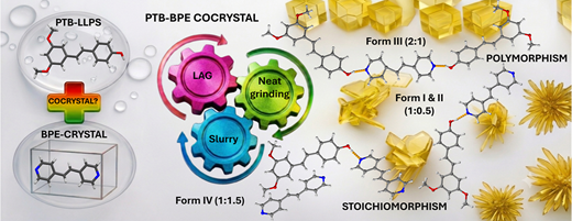 PharmSolidForms tweet picture