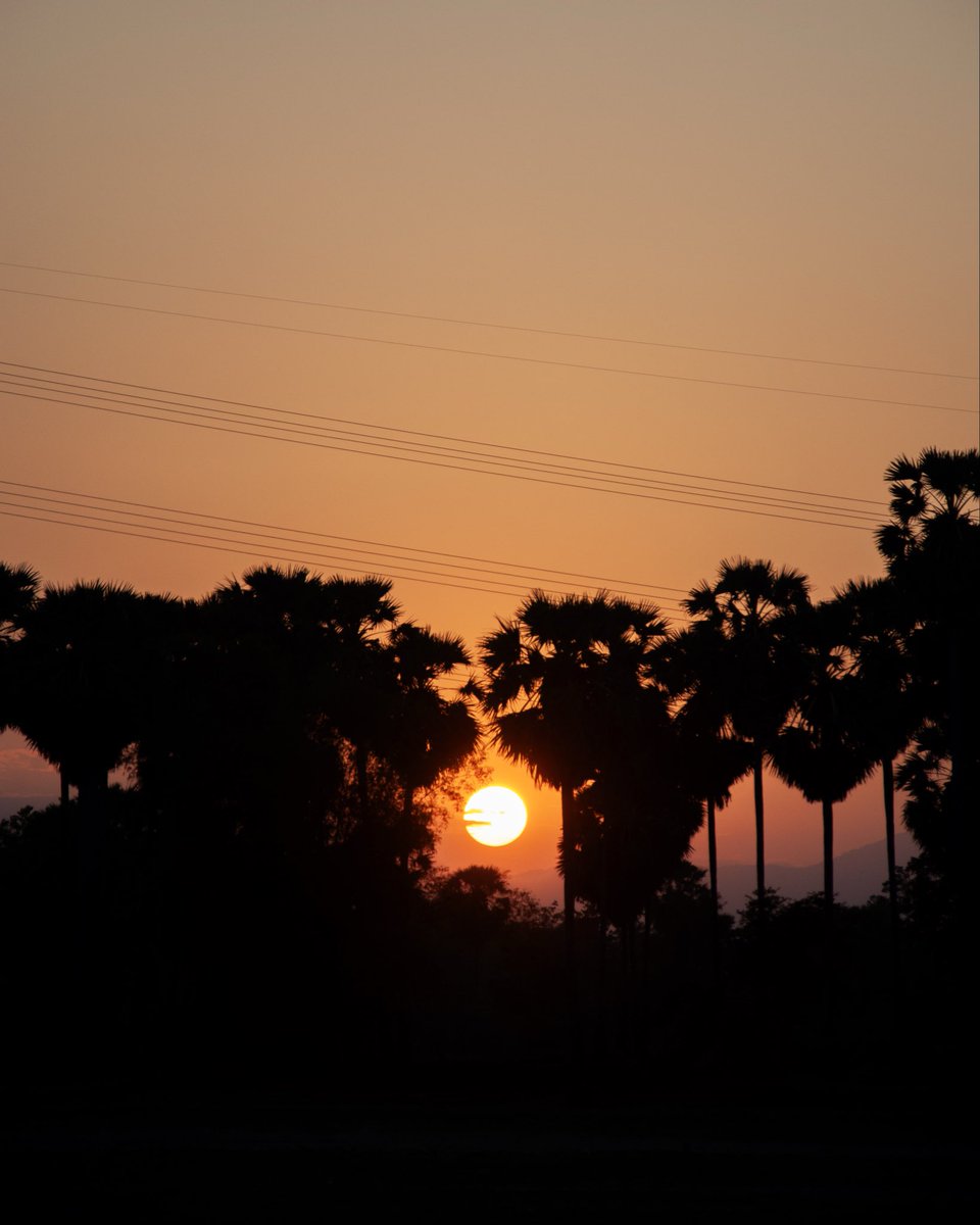 KienVirak's tweet photo. Sunset 🌅

#sunset #landscape #viral #post #sky https://t.co/Qby3Z10bTX