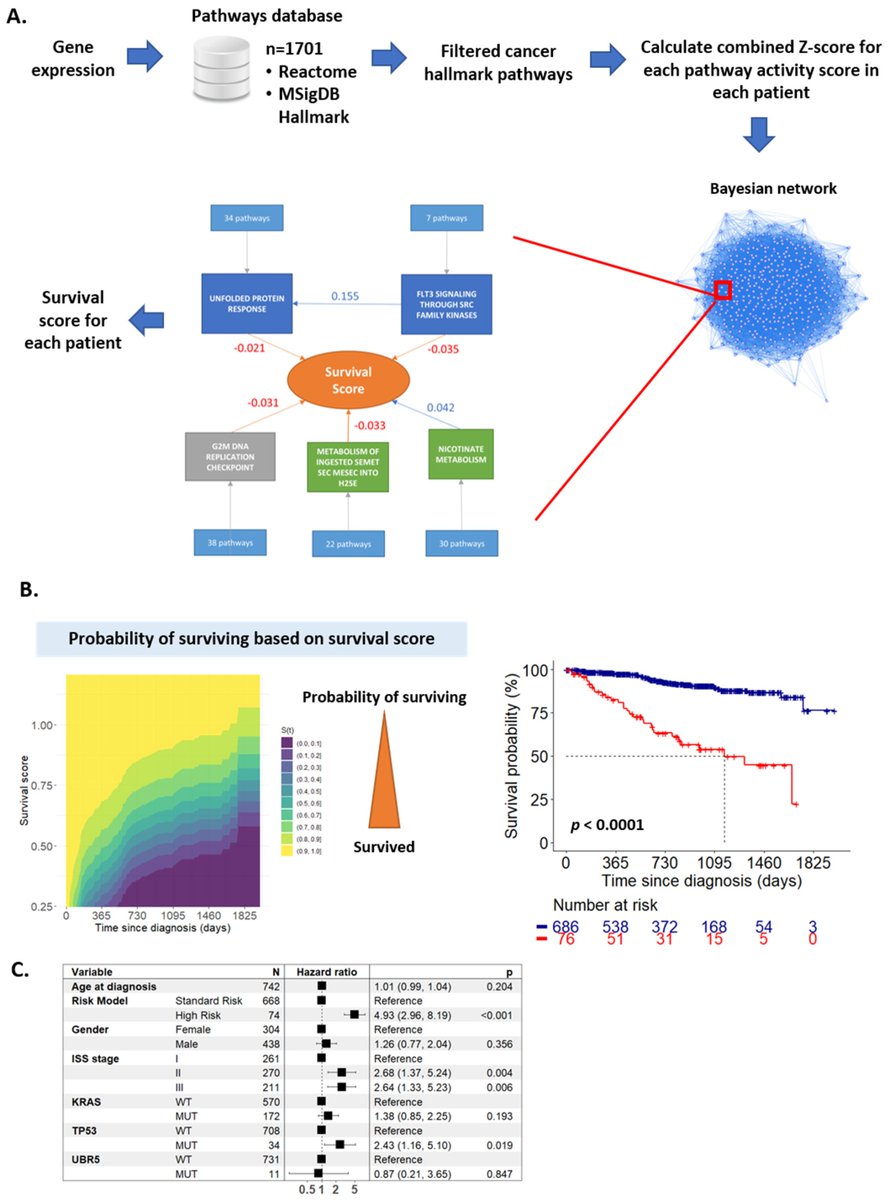 Cancers_MDPI's tweet photo. 🔖A pathway-based #BayesianNetwork predicts survival in #MultipleMyeloma across independent cohorts, adding biological insight beyond established clinical and cytogenetic #risk factors.
Read the full article🔗https://t.co/HvovIBmxAw
#survival #prognostication #transcriptomics https://t.co/zfOSXf9jnN
