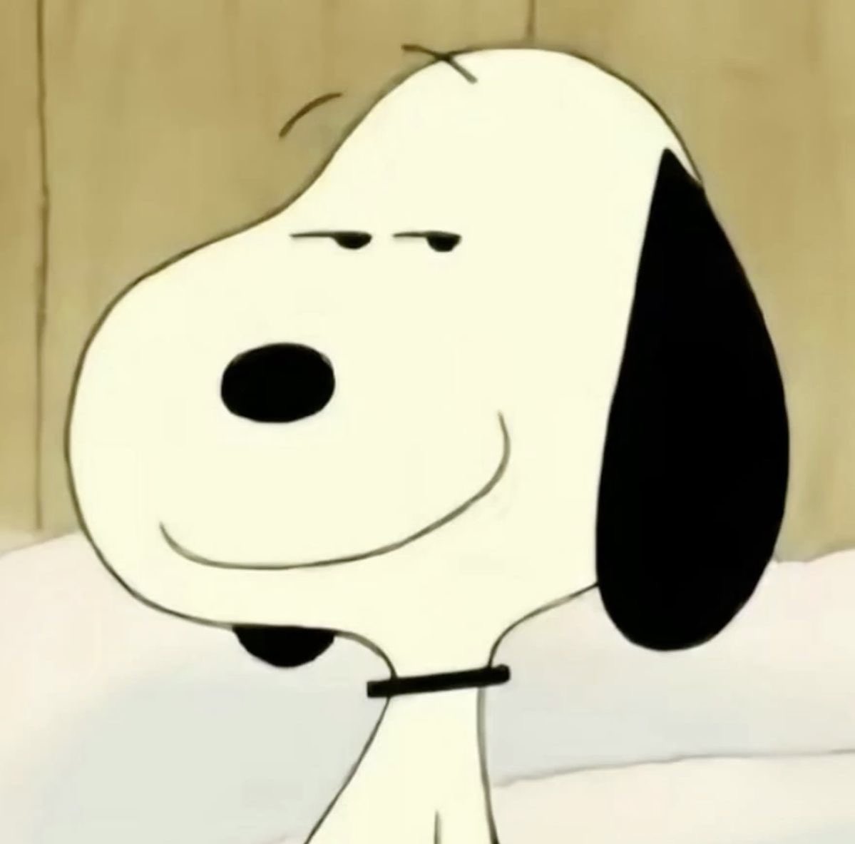 evanandsnoopy's tweet photo. https://t.co/cXAjtEou2T