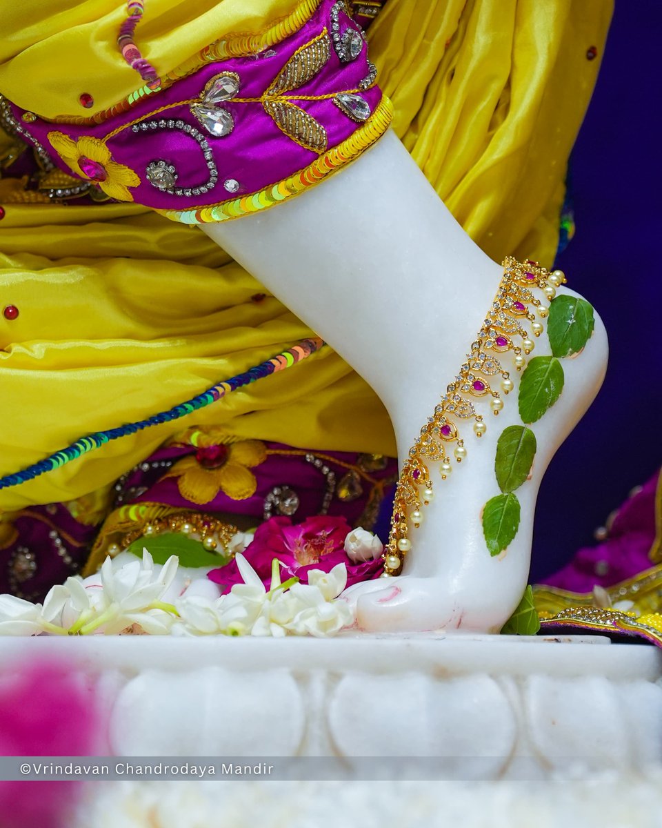 VCMVrindavan's tweet photo. Today's Sringar Darshan of Sri Radha Vrindavanchandra, 30 Sep 2026
बुधवार, आश्विन मास, चतुर्थी तिथि, कृष्ण पक्ष, विक्रम संवत् २०८३, गौरबदा 540
    
#vrindavan #vrindavanchandrodayamandir #tallesttemple #Krishna #radha https://t.co/UaNTw6bnRs