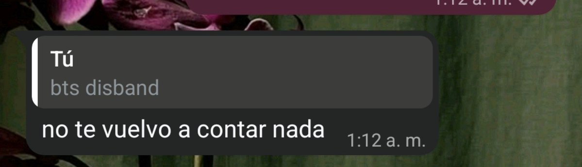padmeiscrying's tweet photo. amo tener una mejor amiga army y tener con qué molestarla todo el día https://t.co/VnL3hbI0Kd