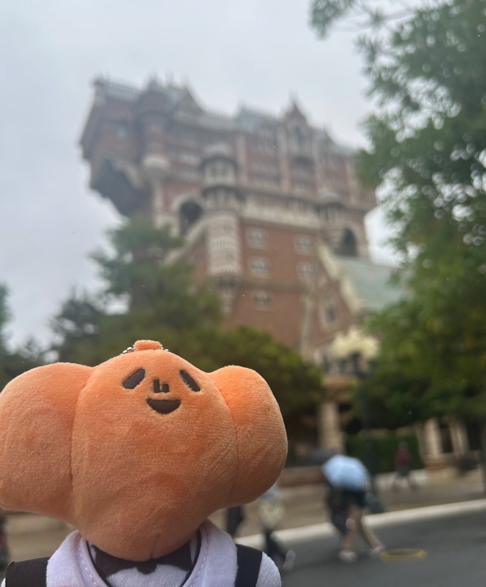 393itsuki's tweet photo. 蘭たん、タワーオブテラーだよ
タワーオブテラー、蘭たんだよ https://t.co/l8pKLipOj4