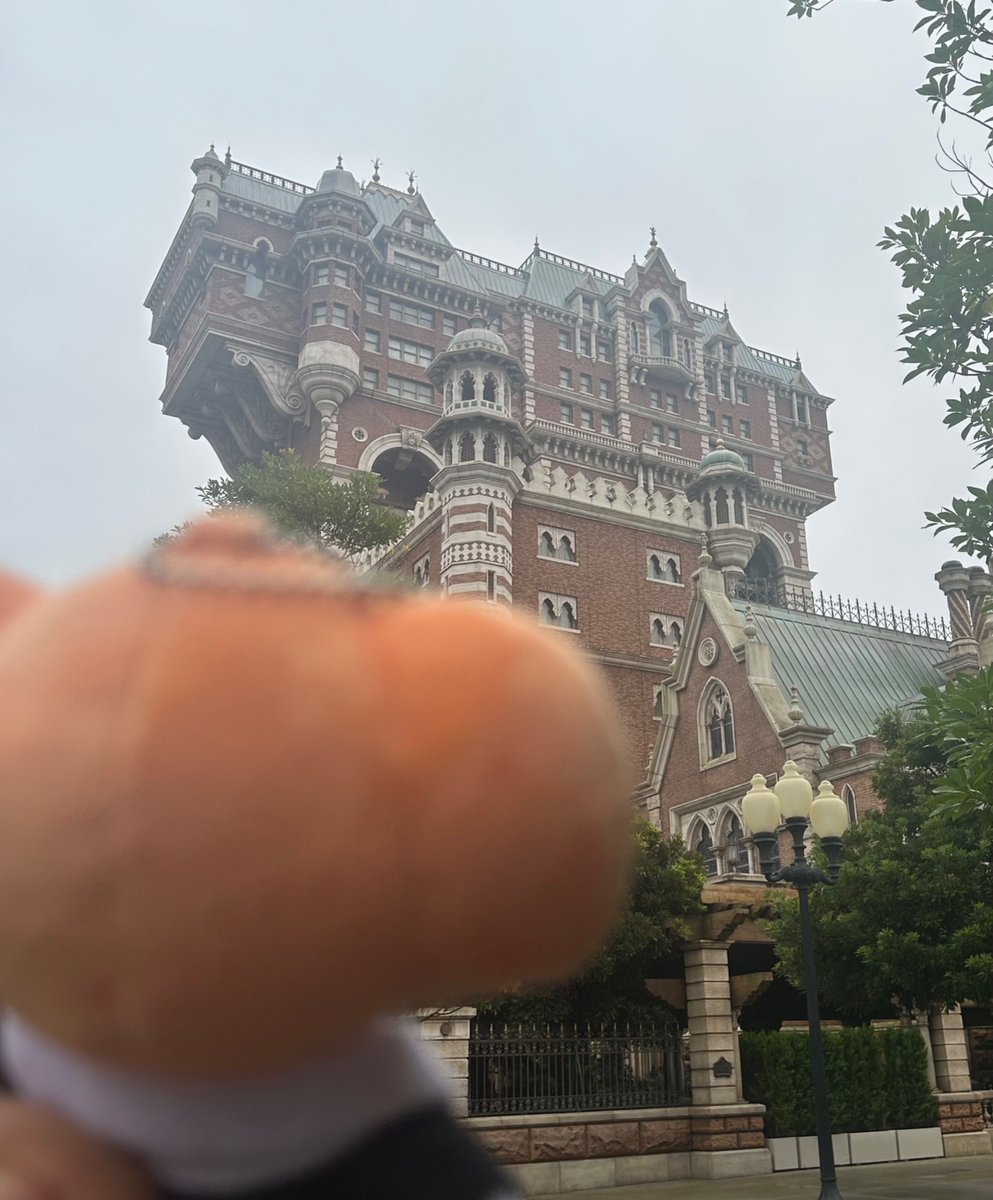 393itsuki's tweet photo. 蘭たん、タワーオブテラーだよ
タワーオブテラー、蘭たんだよ https://t.co/l8pKLipOj4