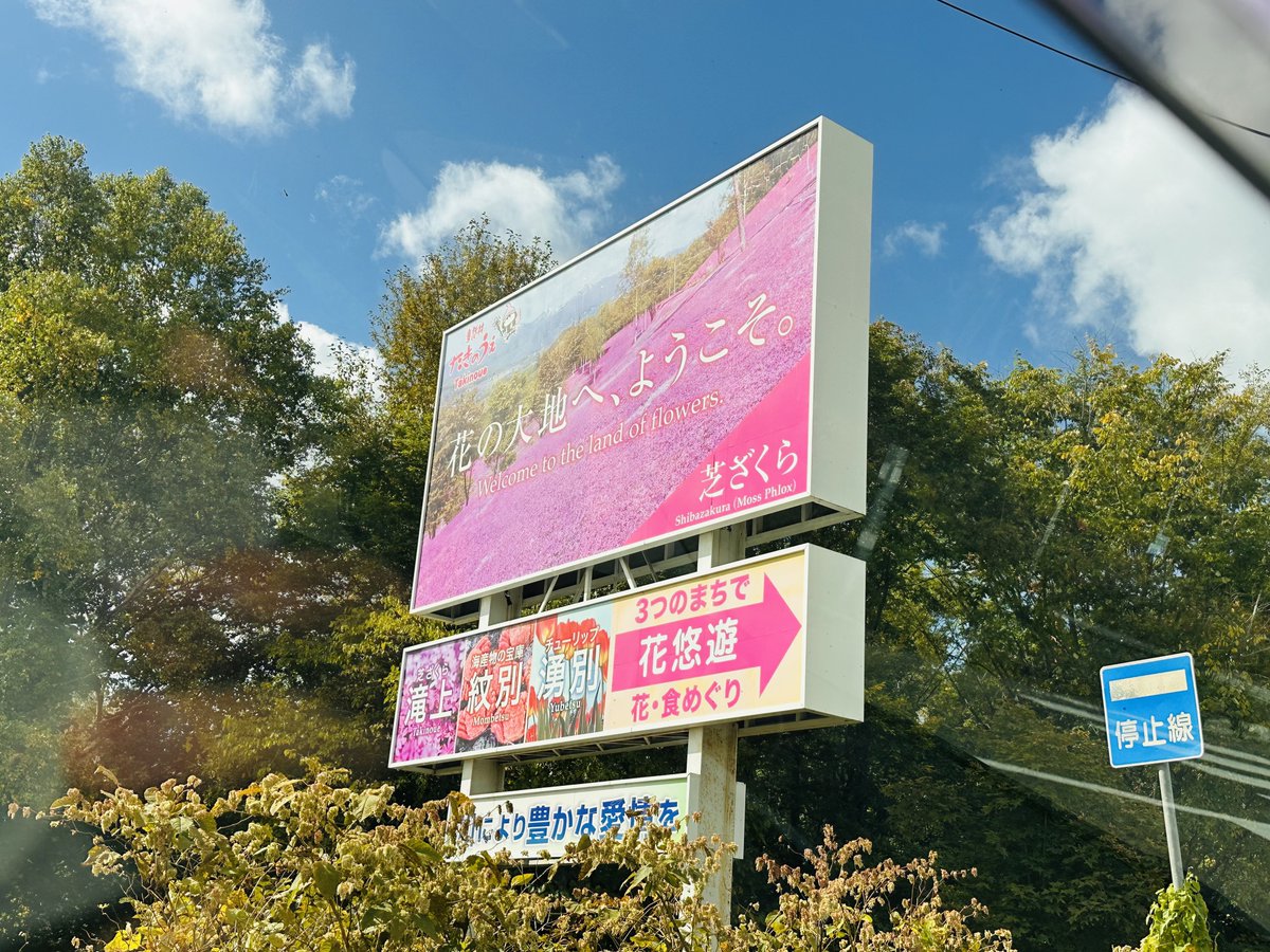d_isk's tweet photo. 全部花ではなかった https://t.co/blOAlObpYz