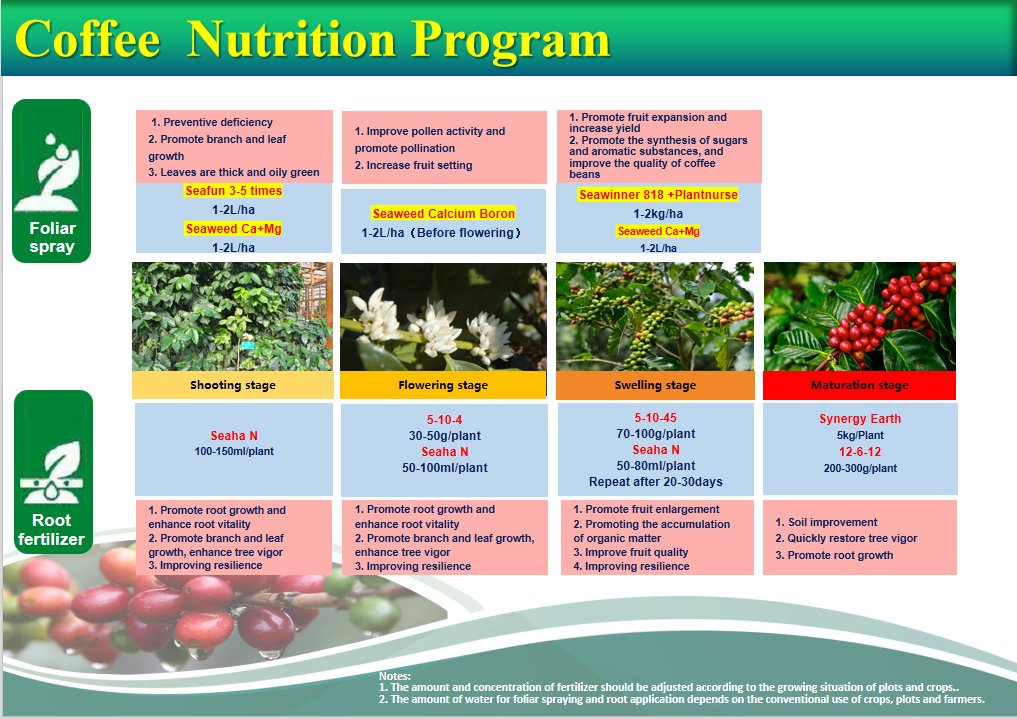 SalesSeawinner's tweet photo. Growing coffee? Explore our seaweed-based nutrition program to boost fruit set, yield and bean quality.#Coffee #Biostimulants #SeaweedExtract #AgTech #SeawinBiotechGroup https://t.co/aPsI8zJSiZ