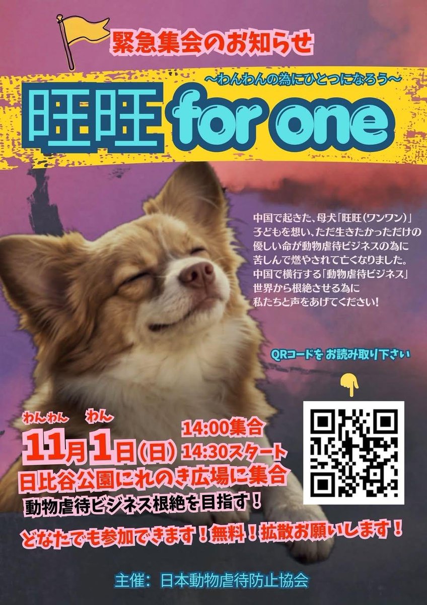 fVSzOIKtQpoWNVG's tweet photo. 11月1日日緊急集会❗️
日比谷公園にれのき広場にて…
詳しくはQRコードを読み取って下さい🙏✨
どなたでも参加できます😌✨
中国犬ワンワンの為に、声をあげてください✊🌸✨沢山の方のご参加…
お待ちしてます👍🌸✨ https://t.co/XOt3ylIVBx