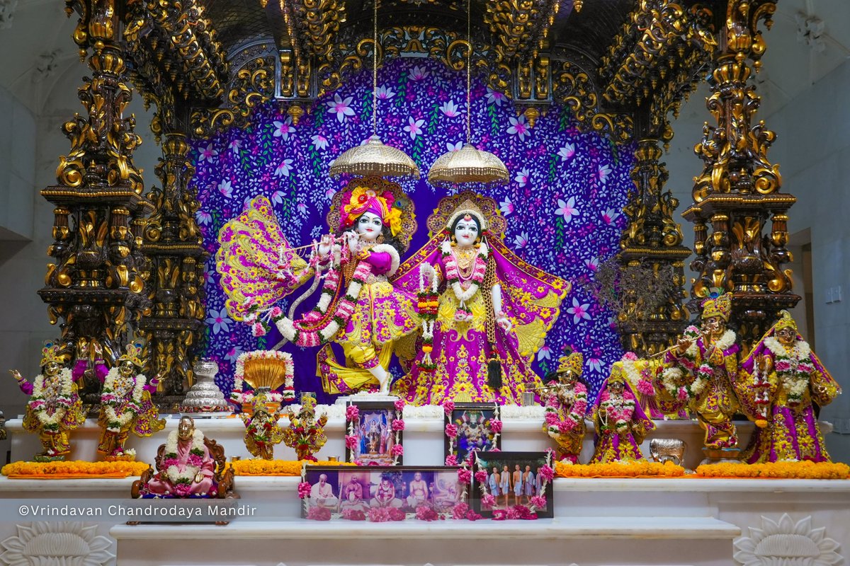 VCMVrindavan's tweet photo. Today's Sringar Darshan of Sri Radha Vrindavanchandra, 30 Sep 2026
बुधवार, आश्विन मास, चतुर्थी तिथि, कृष्ण पक्ष, विक्रम संवत् २०८३, गौरबदा 540
    
#vrindavan #vrindavanchandrodayamandir #tallesttemple #Krishna #radha https://t.co/UaNTw6bnRs