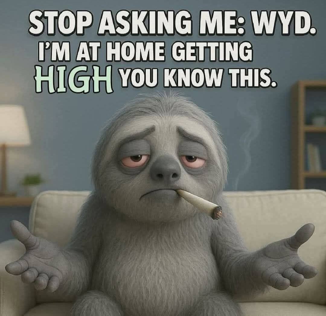 SJsMemes420's tweet photo. https://t.co/7BvCeuIZUU