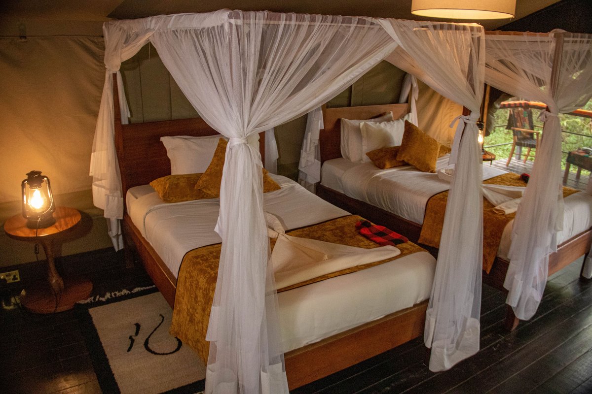 CampCastel's tweet photo. There’s something special about coming back to a beautifully made bed.
At Castel Mara, our spacious bed setup is designed with comfort — crisp linens, soft pillows, &amp; a little canopy magic to make your stay feel extra special.

Book (+254) 0758955220
https://t.co/WeUE3LEmLS https://t.co/xpaXOvI0B4