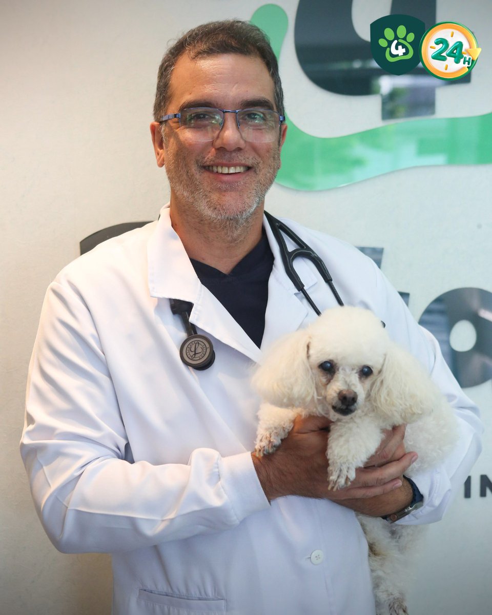 hadise__'s tweet photo. Photo by Centro Veterinário 4 Patas at Centro Veterinario 4Patas with Dr. Dennis Magalhães. https://t.co/kl9N2L8yoR