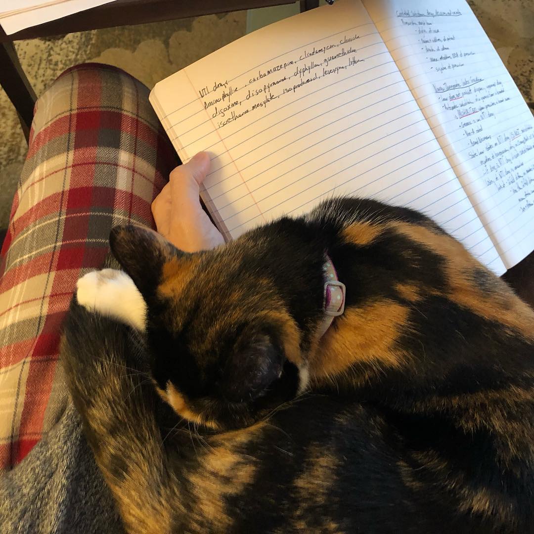 fiorandry's tweet photo. No, it’s completely cool! I wasn’t using my lap or anything. https://t.co/HNkTsC5ZGI