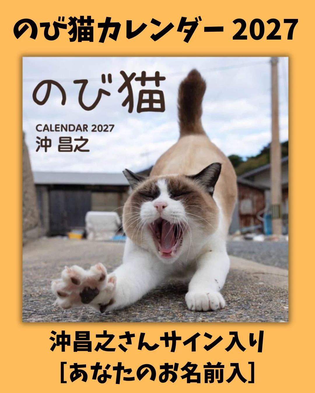 書泉グランデ | 神保町 on X: 