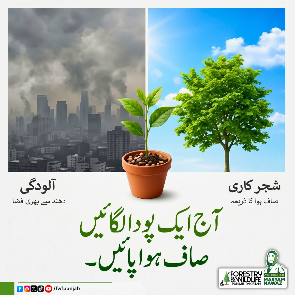 fwfpunjabpk's tweet photo. آج ایک پودا لگائیں، صاف ہوا پائیں۔
.
.
@SmogUnitpndgop
#FightSmog #PlantTrees #GreenPunjab #cleanair #fwfpunjab #GovtOfPunjab https://t.co/ntrrdjJJNM
