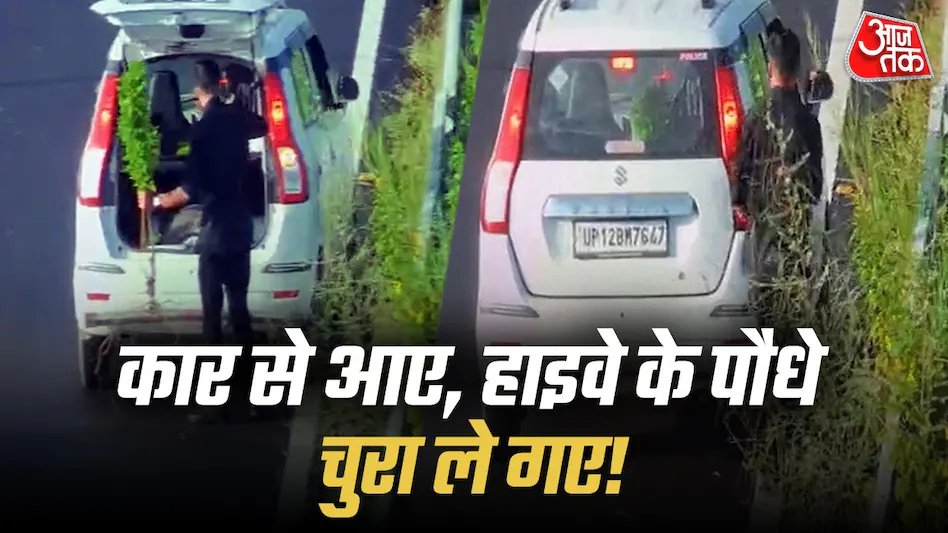 aajtak's tweet photo. बागपत में दिल्ली-देहरादून इकोनॉमिक कॉरिडोर पर पौधा चोरी का अजीब मामला सामने आया है. 'पुलिस' लिखी वैगनआर कार से उतरे एक शख्स ने सड़क किनारे लगा पौधा उखाड़ा और कार में रखकर फरार हो गया. यह पूरी वारदात सीसीटीवी (CCTV) में कैद हो गई, जिसने लखनऊ की पुरानी गमला चोरी घटना की याद ताजा कर दी.

पूरी खबर https://t.co/zlFIMVzFUe

#Baghpat #PlantTheft #CCTV #DelhiDehradunExpressway