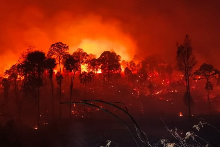 MongabayID's tweet photo. Berbagai kalangan masyarakat sipil, akademisi, hingga mantan menteri melayangkan kritik tajam terhadap arah kebijakan lingkungan Presiden Prabowo Subianto yang dinilai makin memperparah kondisi kerusakan alam Indonesia. https://t.co/SbcRPkJ22p