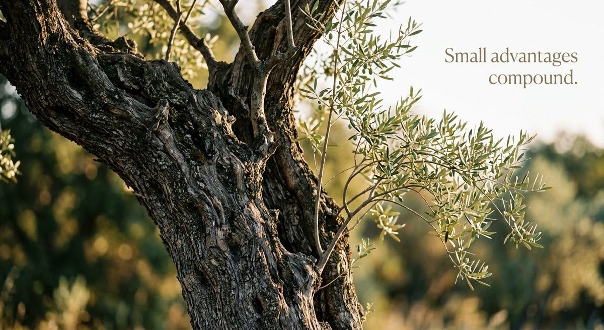 IvanForna's tweet photo. Small advantages compound.
Better judgment.
Better structure.
Better execution.
Better discipline.
Repeated over time, small advantages stop being small.
#BeckoProperties #OffMarket https://t.co/bl0ljrd966