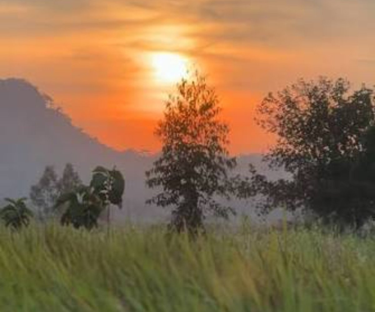 TimoGodsgiven's tweet photo. Sometimes, the most beautiful views are found in the hidden corners. 🌅✨
A beautiful sunrise quietly rising over Lango, reminding us that there is always something magical waiting to be discovered. https://t.co/gRJPMJti1R