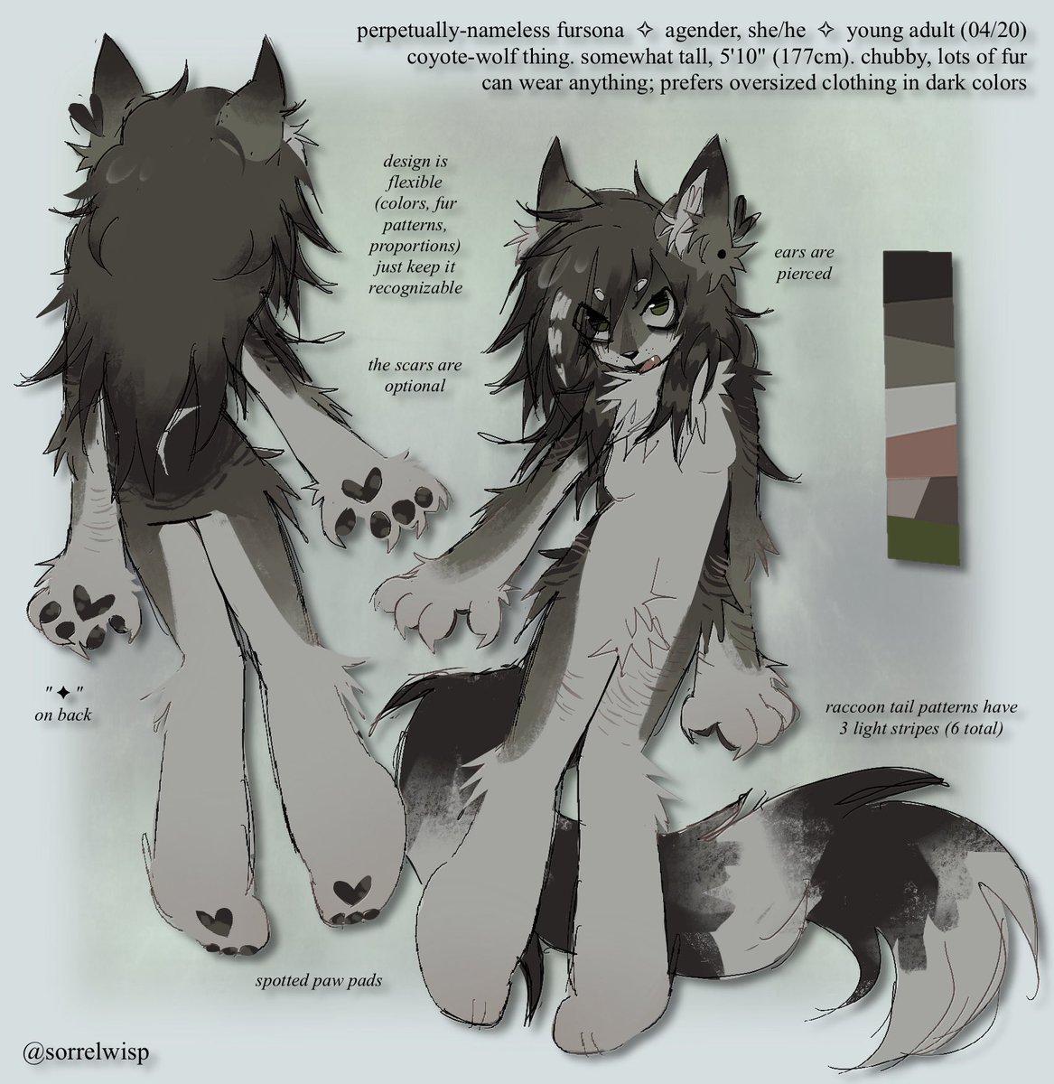sorrelwisp's tweet photo. nu fursona reference sheet https://t.co/8pelqMr0Gg