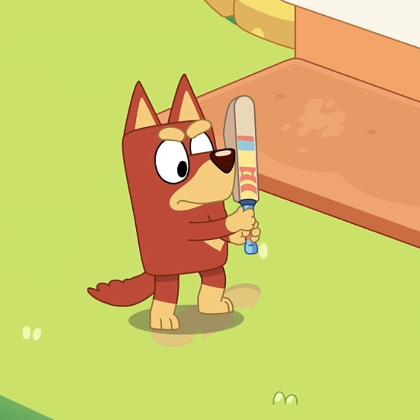 awcwvlc's tweet photo. favourite bats #KitWeek https://t.co/mWSnkteYgb