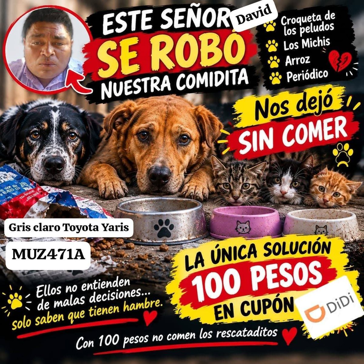 LicAnimalista's tweet photo. Atención @DiDi_Mexico es urgente den una solución a este asunto, no se vale que su conductor robe el alimento de un albergue. Atención aquí #NoticiaCriminal @FiscaliaCDMX @BerthaAlcalde https://t.co/KFW6m6PH0x
