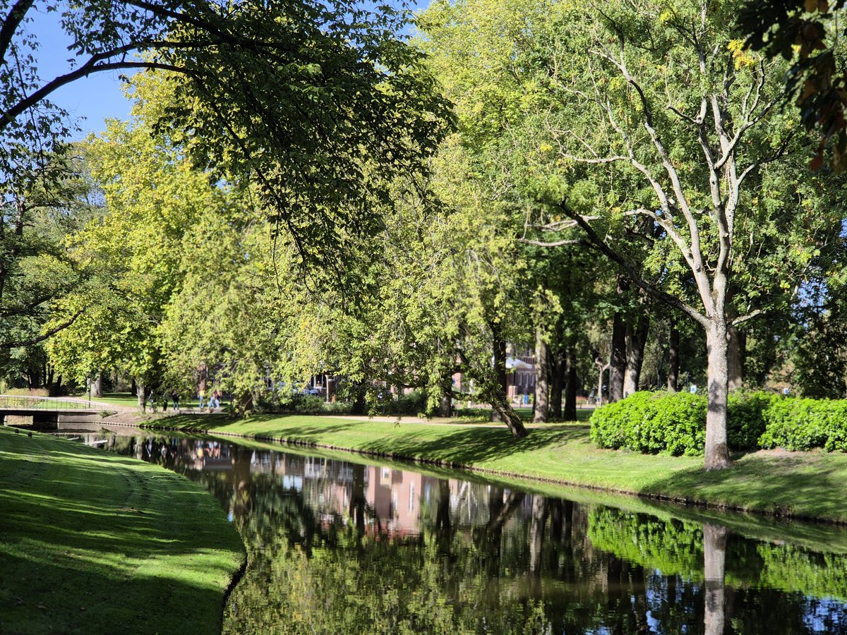 marian070249's tweet photo. Goedemorgen @IreneParren @TribbleSlayer_1 @henkvanderz @TopogigioRini @daniel170376 @1Henkwestland Wens jullie een gezellige woensdag, met lieve groet uit Rotterdam ☕️🌤🍀💐 https://t.co/xZcPwqHlSo