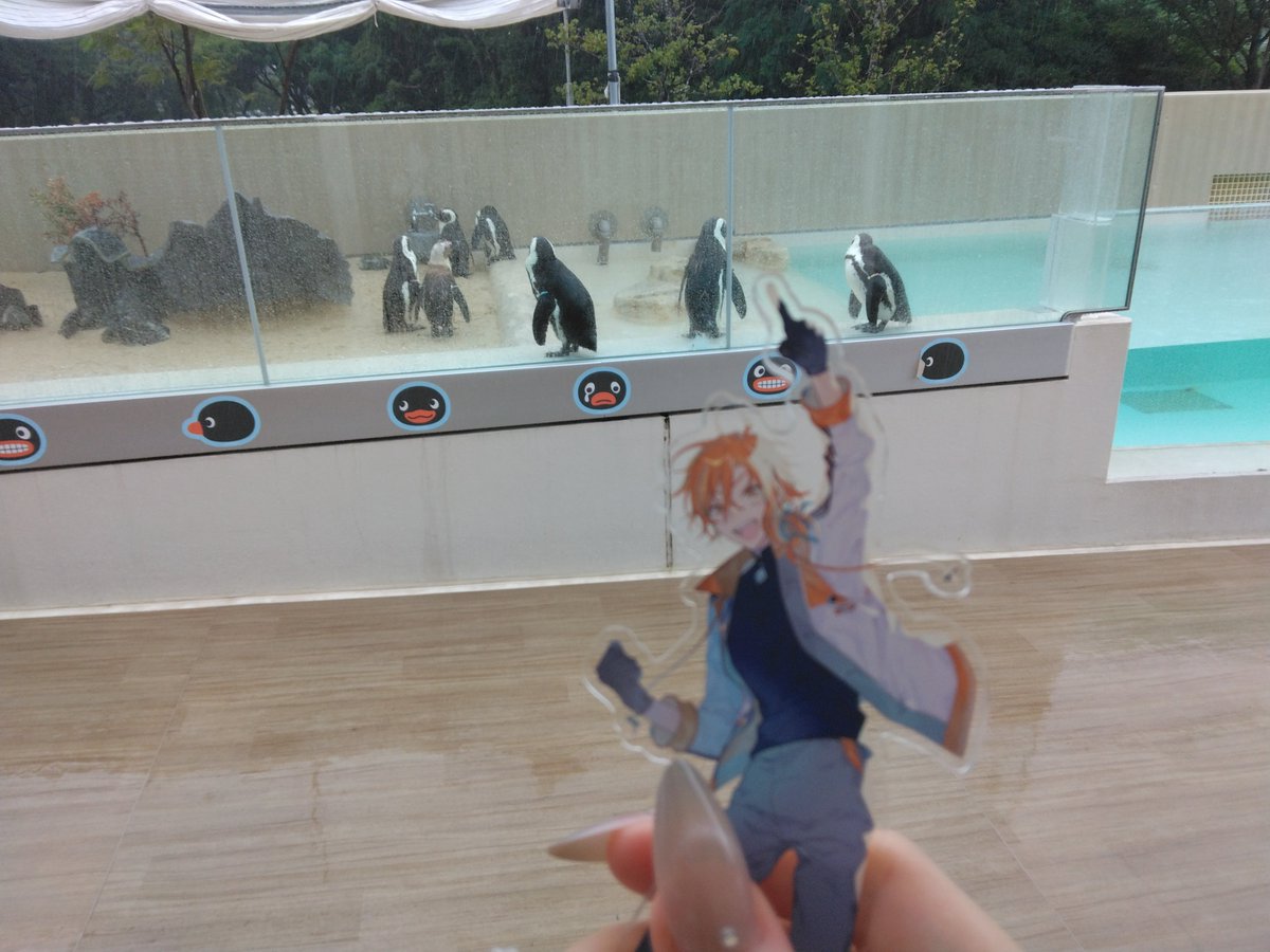 ninatymi's tweet photo. どしゃぶりの中ペンギン見たね、カズくん。 https://t.co/SNcSup3ccE