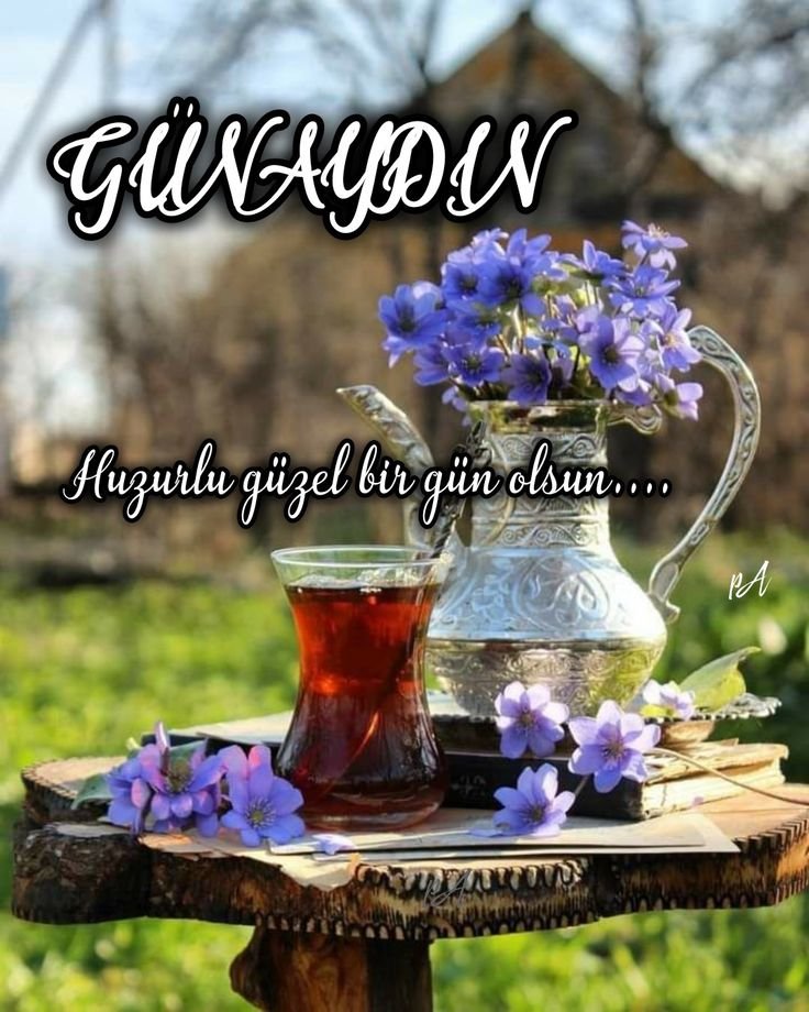 oruc110689's tweet photo. @kayhankoc344 @__Hakan_1907 Günaydın https://t.co/RHeIVg9WFt
