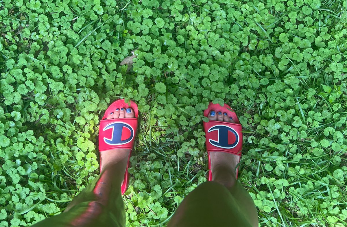 Princ3ssaToki's tweet photo. Found a field of clovers, Should I take my sandals off? 🫦💕

#feetworshi̇p #feetpicsforsales #feetinyourface #paypiggys https://t.co/o2owS0sap4