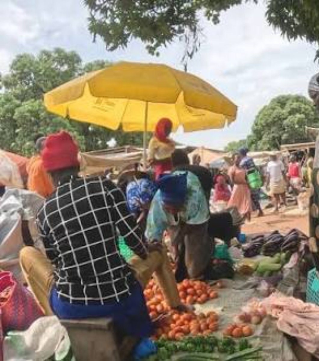 TimoGodsgiven's tweet photo. Have you ever visited Amach Market along the Lira–Soroti Road? 
Amach Market comes alive every Wednesday and Saturday, bringing together farmers, traders, shoppers and the local community. Fresh farm produce to everyday goods, it’s a place where business, culture &amp; community meet https://t.co/DAYlV5sXJ4