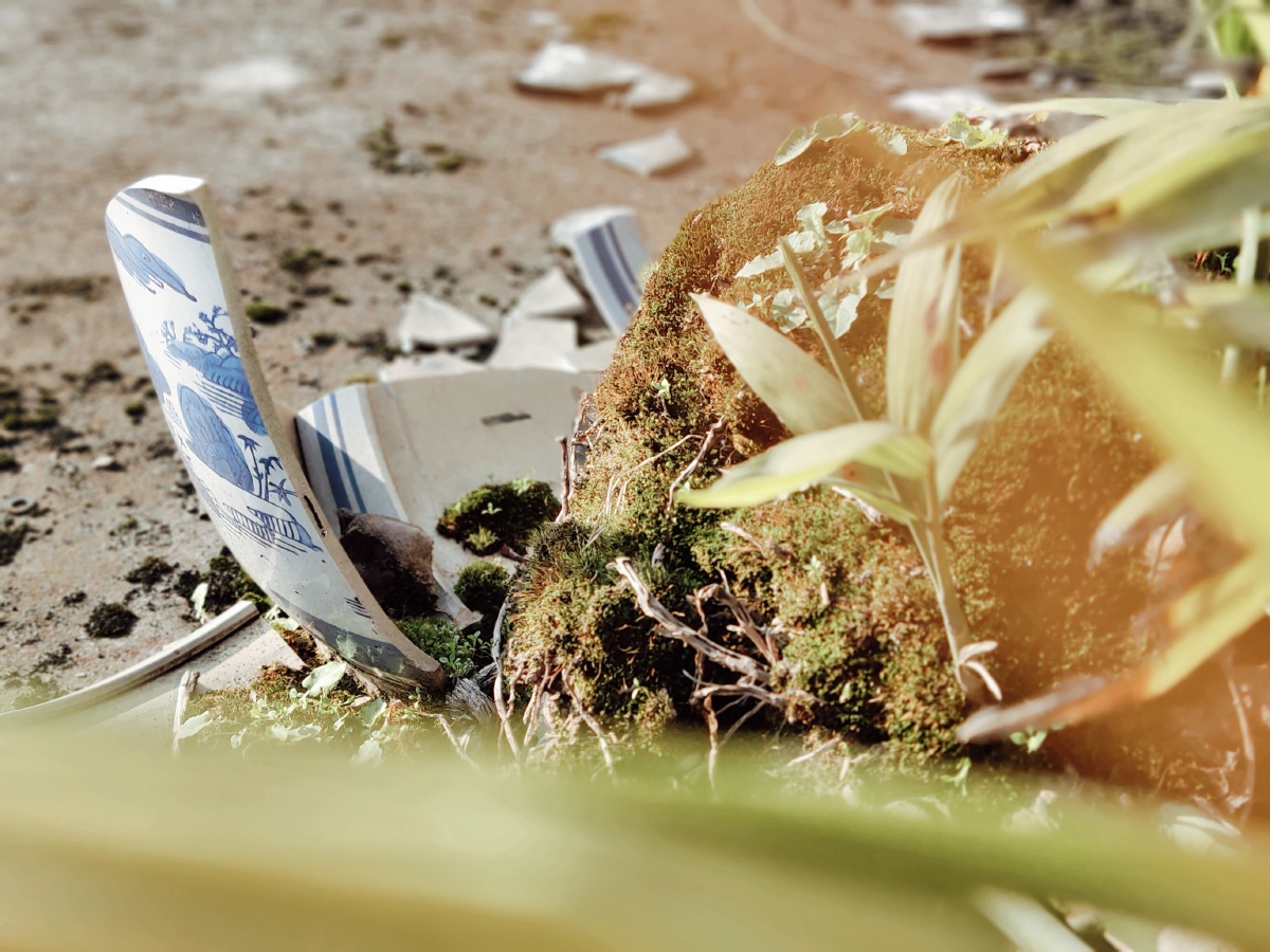 sLBsqqoTbVHUxMX's tweet photo. [This box's been smashed, the sprout's growing strong, and I'm feeling tied down Wait, no, fix it: Smashed box, growing sprout, and my hands are tied—wild vibe check today!]， https://t.co/TzbZKZvqlj
