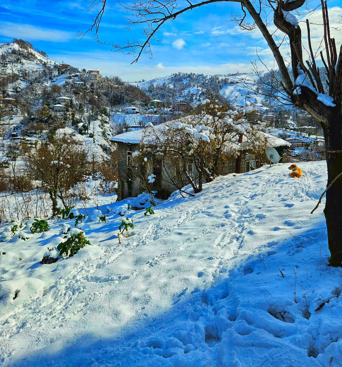 breburkhardt's tweet photo. Photo by Kelebek Photography in Hopa, Artvin. https://t.co/MS1eQLeGpr