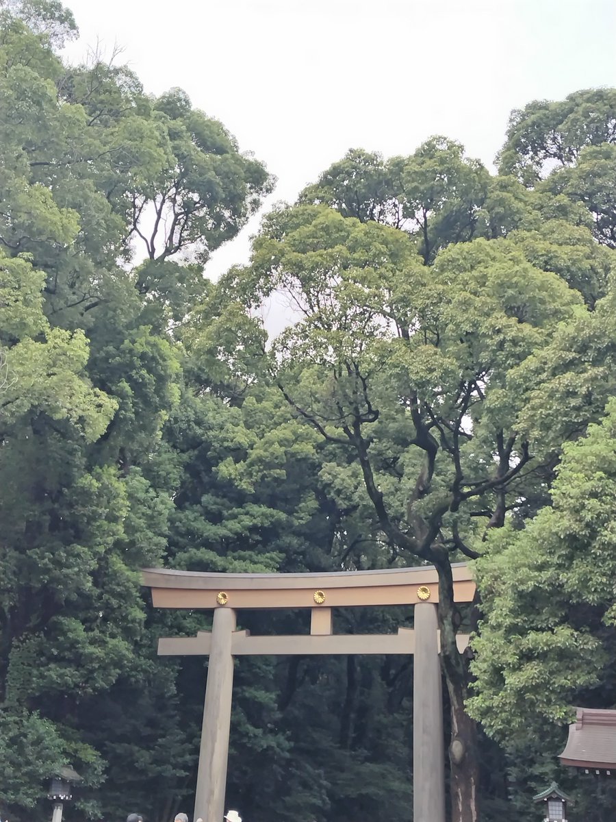 ririetstonooka's tweet photo. 当日JR原宿駅に着けばきっと大丈夫！！！ https://t.co/MRG8wyzJRX