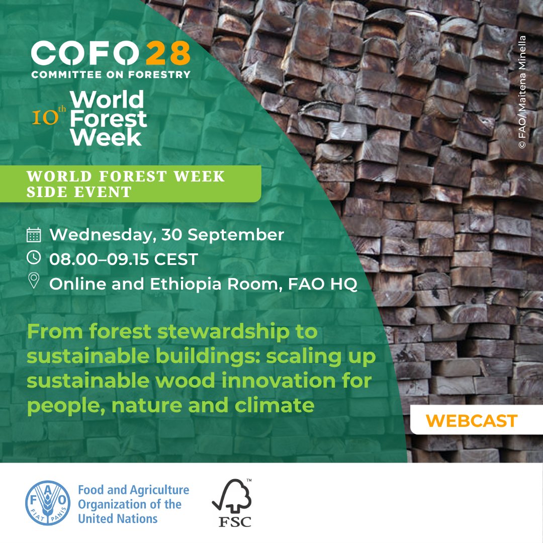 FAOForestry's tweet photo. 🔴LIVE IN FIVE!
🌱Join @FAO and @FSC_IC online for a #WorldForestWeek side event: 
From forest stewardship to sustainable buildings: scaling up sustainable wood innovation for people, nature &amp; climate
🗓️ Wed 30 Sept
⏰ 08:00–09:15 CEST 
🎥https://t.co/BaHVJPOX5m
#COFO28 https://t.co/Cobfj5rD1p