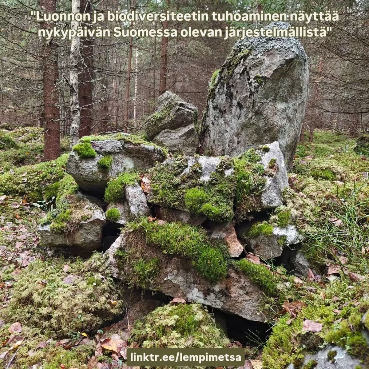 Umeetiusbaarus's tweet photo. "Luonnon ja biodiversiteetin tuhoaminen näyttää nykypäivän Suomessa olevan järjestelmällistä"

Lue lehti, allekirjoita adressi ja tule mukaan!
https://t.co/XrxRPpl0RM

#LemPiMetsänPuolesta
#Biodiversiteetti
#PelastaLähimetsät
#KaadetaanKaava
#EiPuskiaistenMoottoritietä https://t.co/tnpKRfYg5u