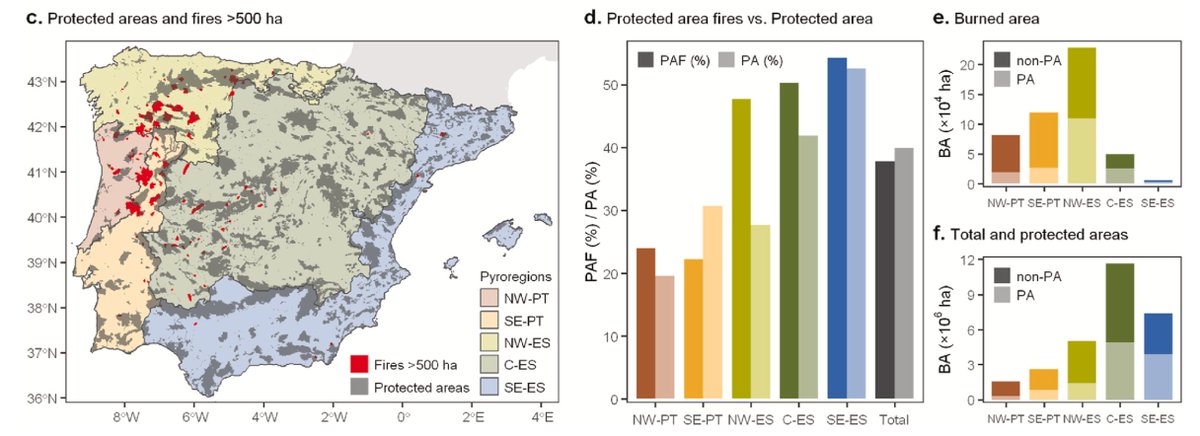 rescodedios's tweet photo. Como siempre, los incendios se cebaron particularmente con las áreas protegidas en España, aunque no fue el caso de Portugal https://t.co/5CPO0V3pXg