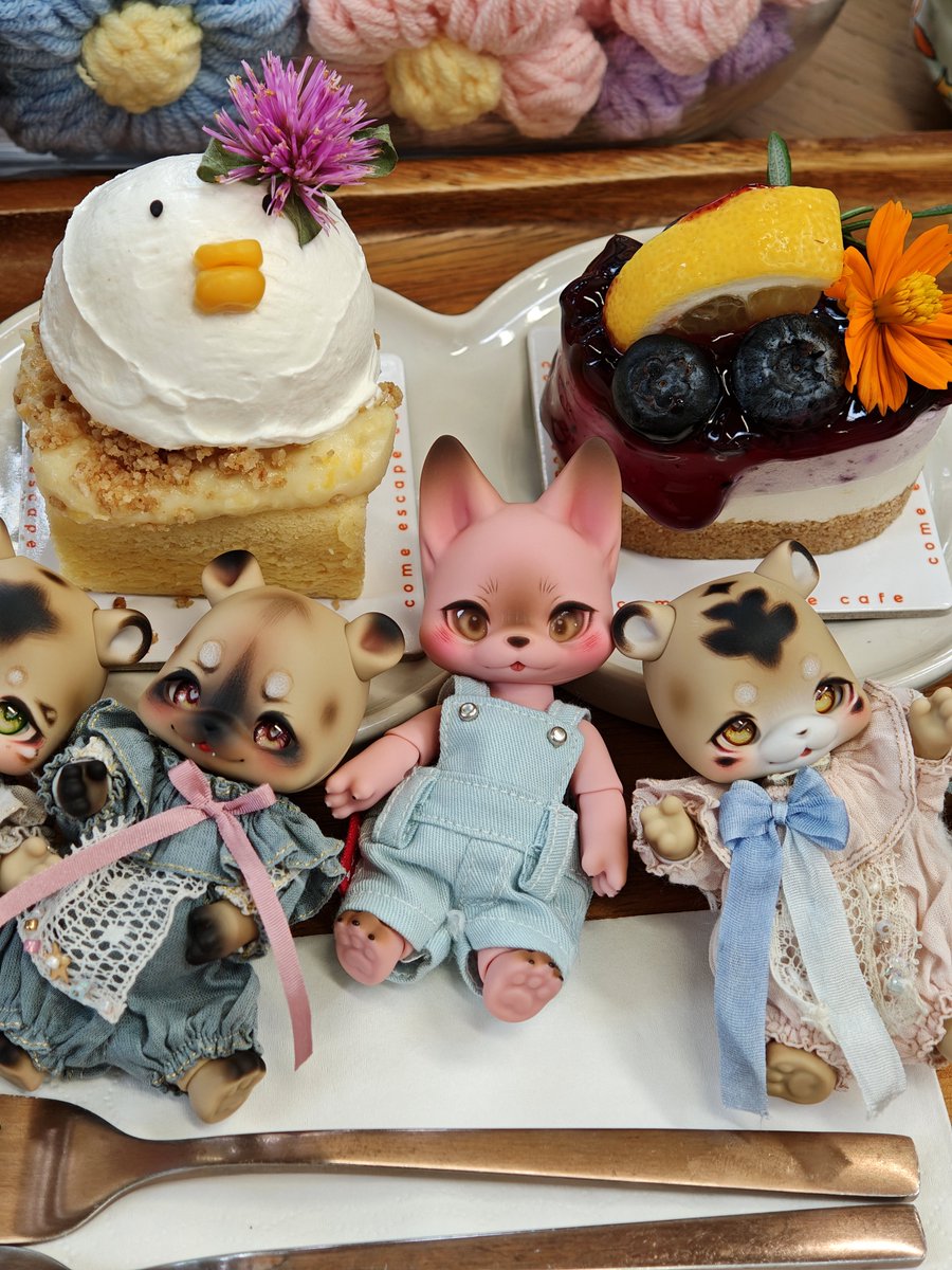 minute_iris's tweet photo. First time trying a corn-favored cake. It's...not bad(?) Anyway it's pretty cute. 🤣🪿

#kumukuku #クムクク #쿠무쿠쿠 https://t.co/bJVByD60RZ