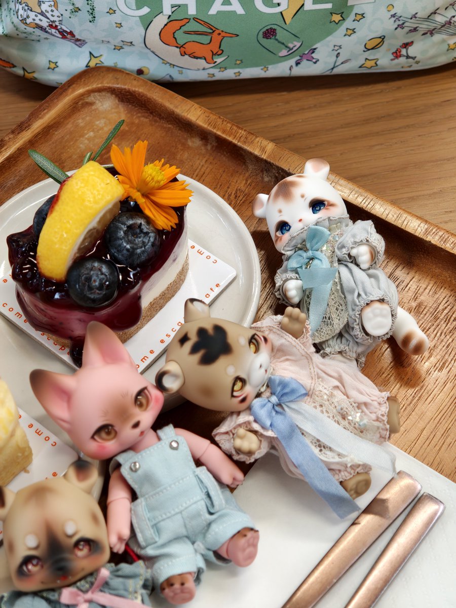minute_iris's tweet photo. First time trying a corn-favored cake. It's...not bad(?) Anyway it's pretty cute. 🤣🪿

#kumukuku #クムクク #쿠무쿠쿠 https://t.co/bJVByD60RZ