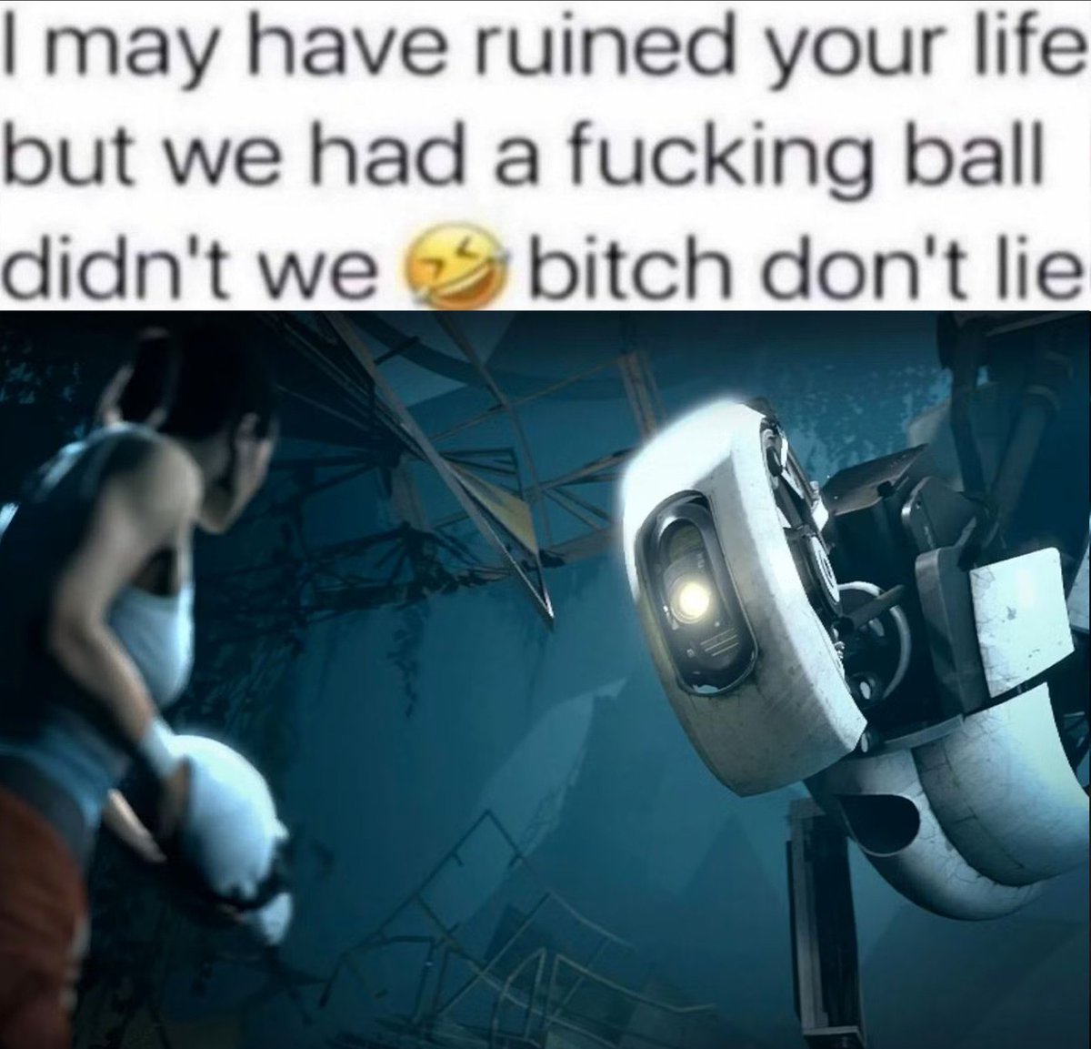 Sal_Predebut's tweet photo. portal 2 meme https://t.co/TX60Qi0IiO