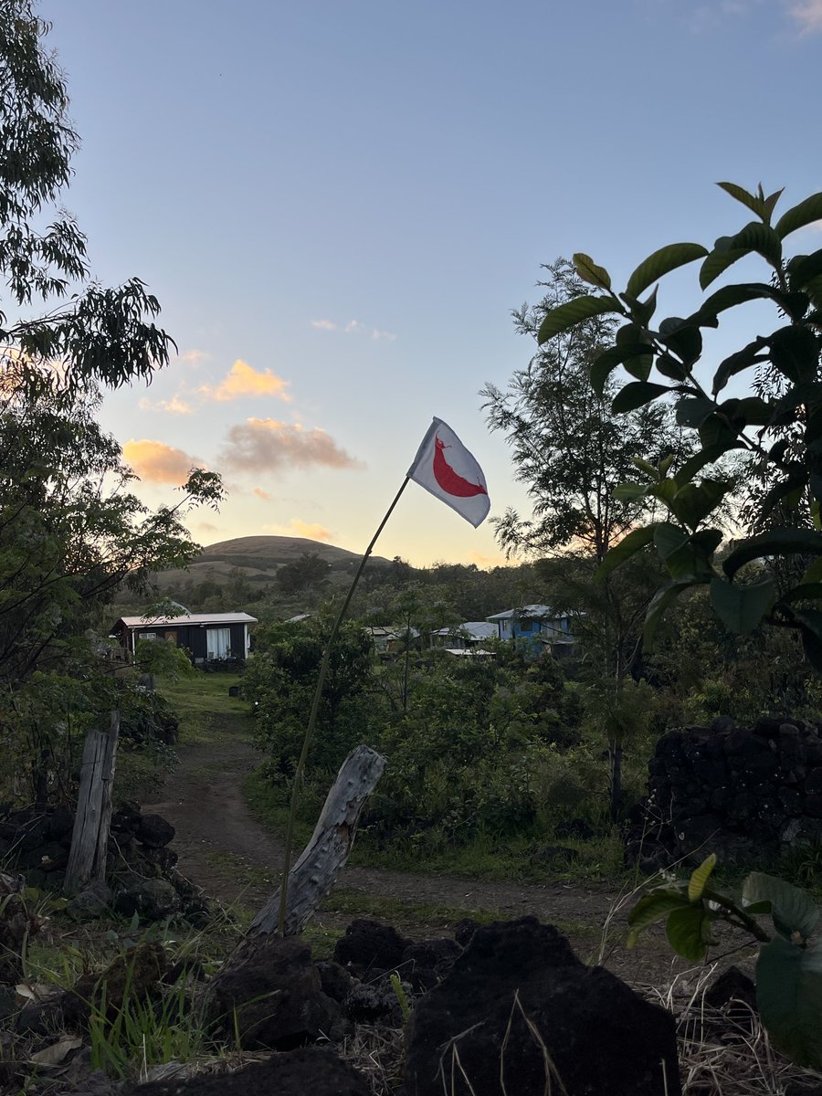 berlinesian's tweet photo. teeny tiny rapanui flag https://t.co/YeUXr0YvOz