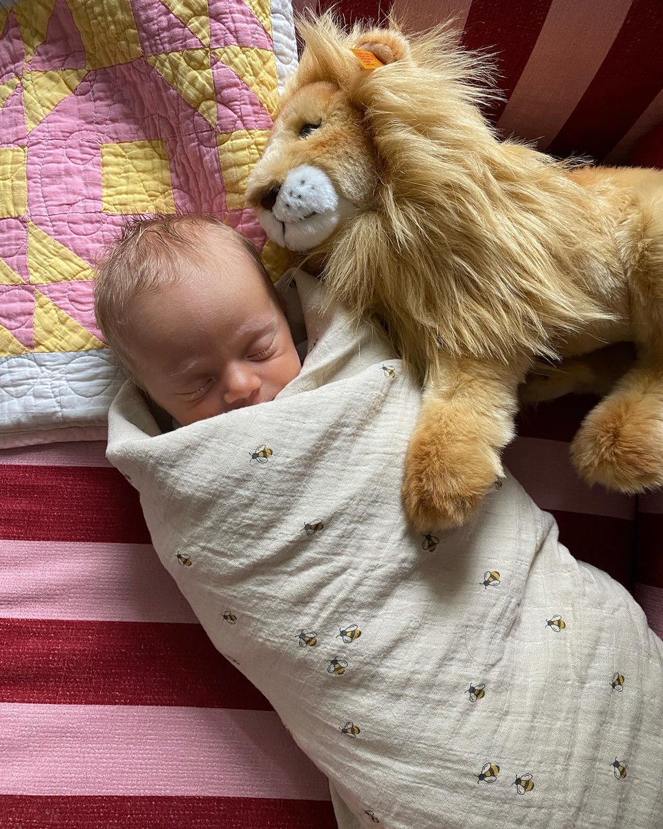 MassieBlock00's tweet photo. Photo shared by Laura Sanderson on September 15, 2024, tagging Steiff, Mushie, and Colours of Arley. https://t.co/gEjgdUtRW5